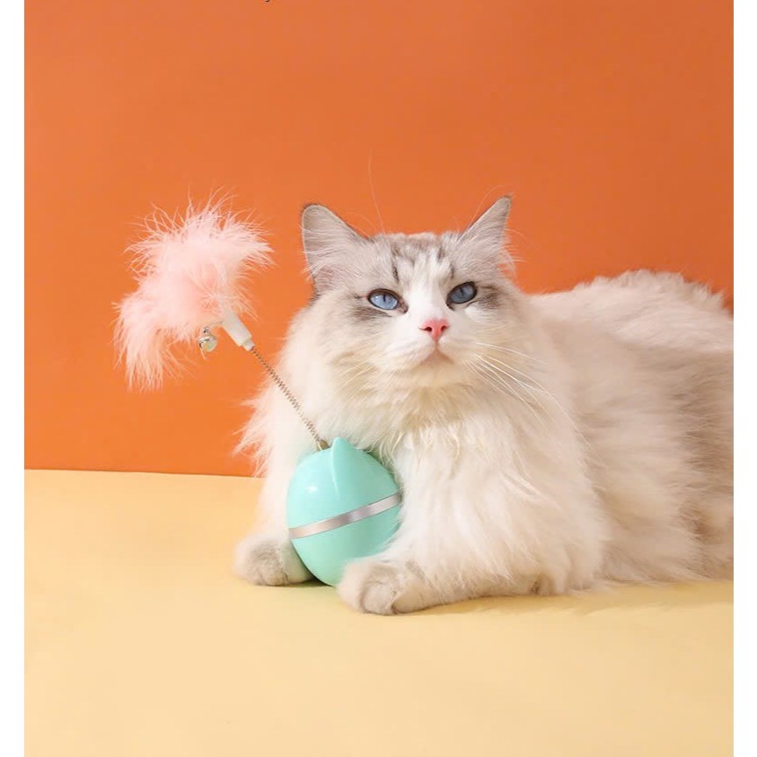 đồ chơi hình mèo lật đật lông vũ - T3 PETS SHOP