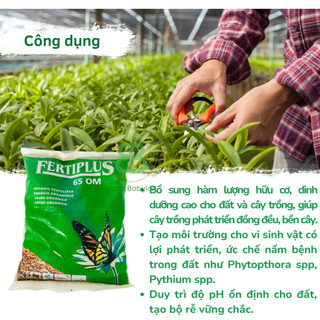 Phân Hữu Cơ Hà Lan , Phân Bón Tự Nhiên, Cải Thiện Đất Fertiplus - Túi 1KG