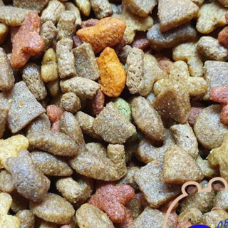 Thức ăn trộn cho Nhím