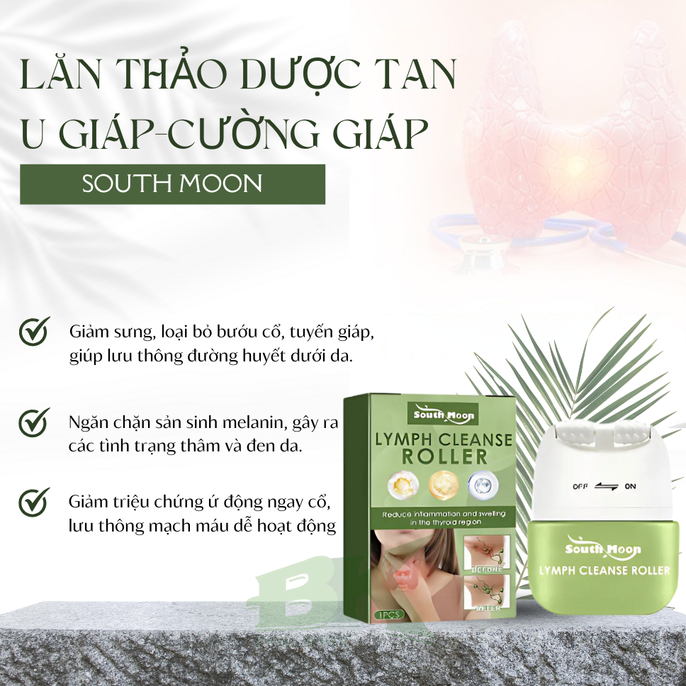Kem Lăn Massage U Tuyến Giáp Thảo Dược SOUTH MOON 50GR Tiêu U Viêm Tuyến Giáp, Cường Giáp, Bướu Cổ, Basedown | BK INNO