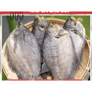 KHÔ CÁ SẶC BỔI_2 Nắng
