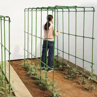 Giàn Leo Chữ U Ống Thép Bọc Nhựa Cho Cây Trồng (Nhiều Kích Thước)