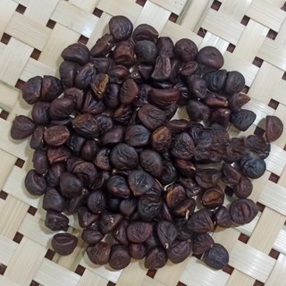 Hạt Dổi Nếp Rừng Tây Bắc [Hạt Mới, Thơm Đậm]