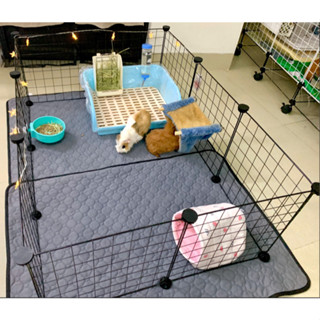 Combo lồng quây Bọ Ú (Chuột Lang) Thỏ Cảnh Chó Mèo có tặng kèm đèn led trang trí