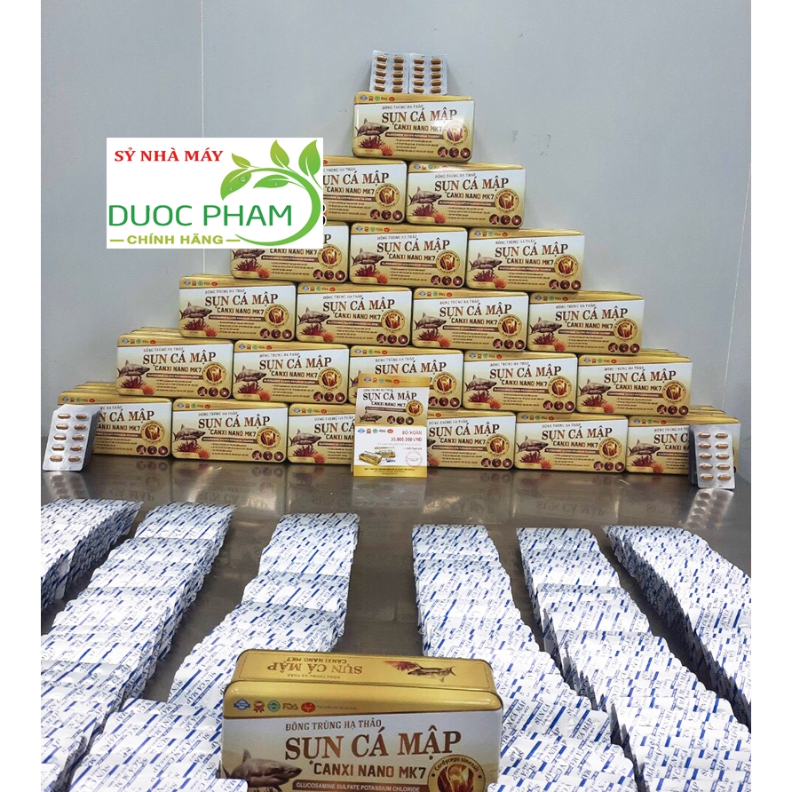 Viên Uống Đông Trùng Hạ Thảo Sụn Cá Mập  - Giảm Thoái Hóa Khớp, đau khớp