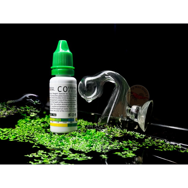 Bộ Kit Test Nồng Độ Co2 Hình Giọt Nước - Tép Màu Quận 3