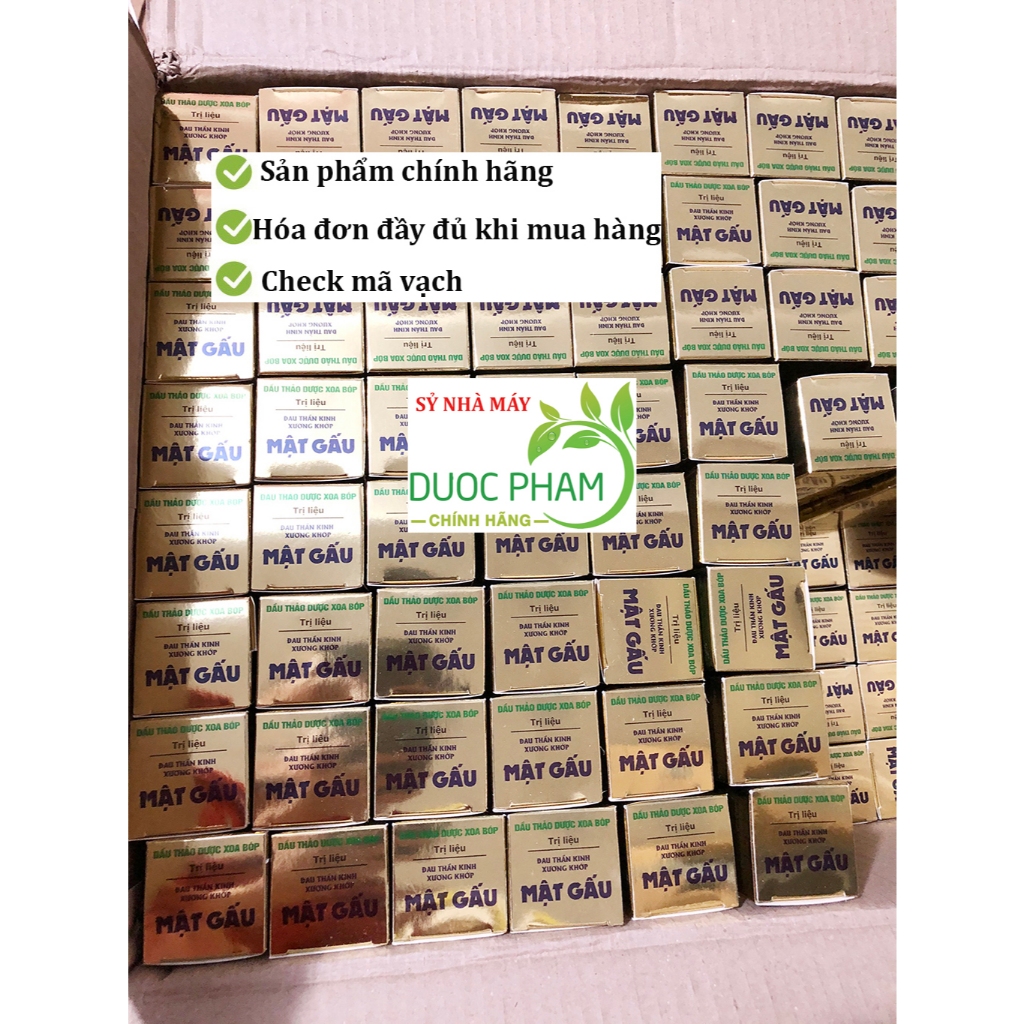 Dầu thảo dược mật gấu xoa bóp ngừa đau cơ xương khớp