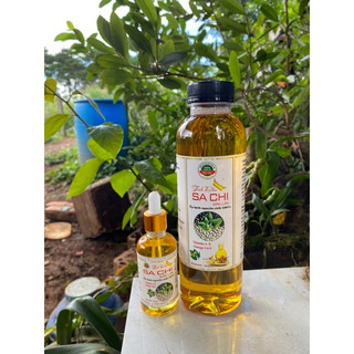 Hạt sachi rang muối hoặc sấy chín ăn liền 1 kg