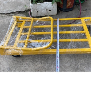 xe đẩy Lớn 65x1.2m tải 500 kg