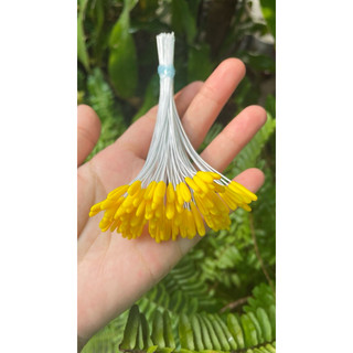 NHỤY HOA TULIP ( 1 BÓ 95- 100 CÁI)