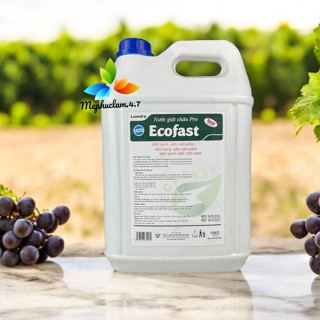 Nước giặt chăn  can lớn 10L cho khách sạn, nhà nghỉ, tiệm giặt là công nghiệp,...Mephuclam.4.7