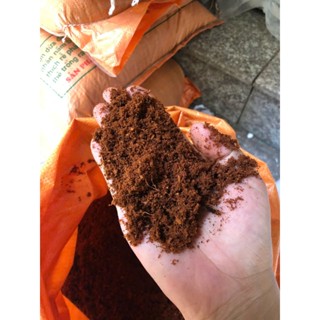 Mùn dừa đã xử lý, mùn dừa 95% dùng trồng rau mầm, ươm hạt giống, trồng thủy canh, trộn đất trồng rau siêu tốt