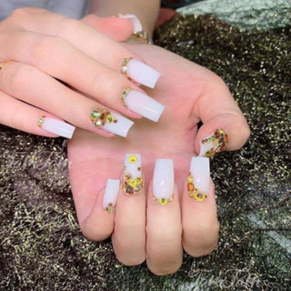 Sơn gel nước gạo Buberry