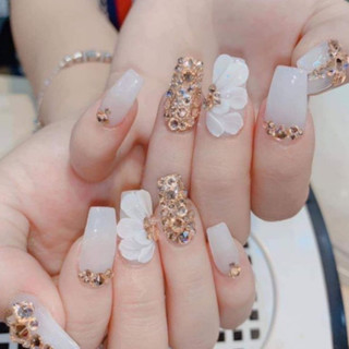 Sơn gel nước gạo Buberry