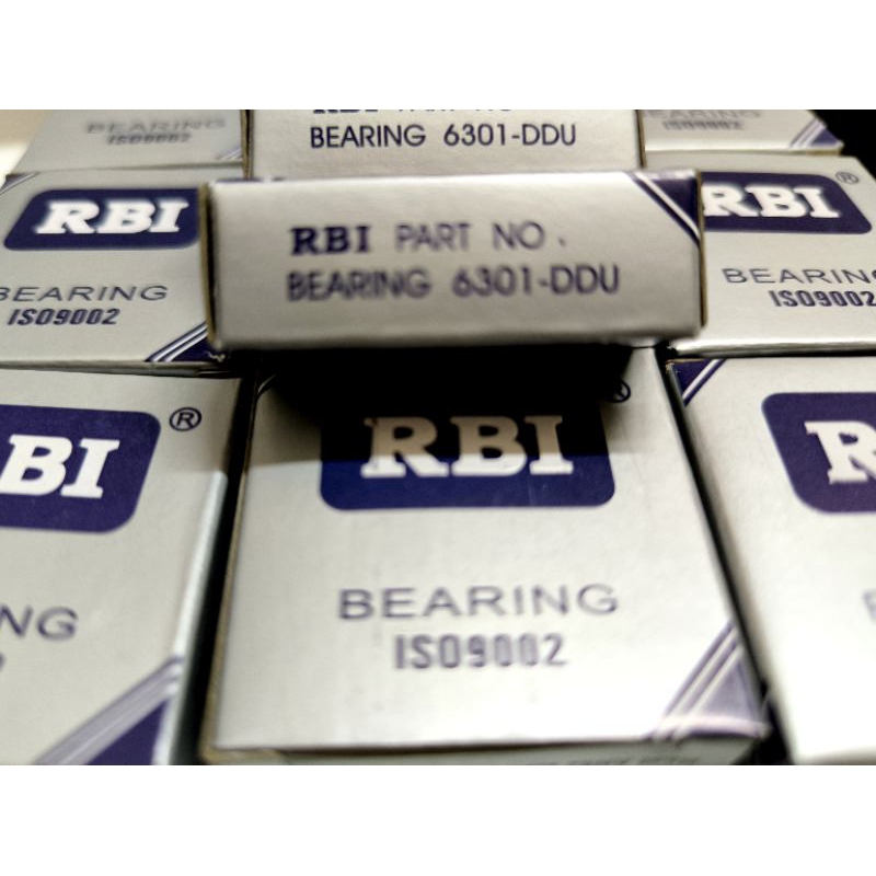 Bạc đạn RBI 6201 , 6203 , 6300 , 6301 , 6004 , 6000 , 6001 nắp nhựa ( hàng công ty chính hãng)