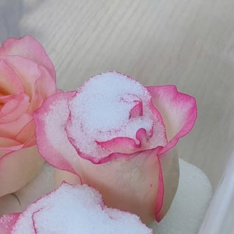 Cát hút ẩm làm hoa khô, silica gel hút ẩm có thể tái sử dụng