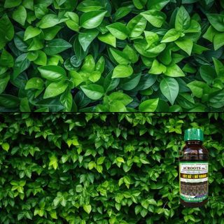 Phân Bón Hữu Cơ , NAA Siêu Ra Rễ, Đẻ Nhánh, Mập Mầm, Xanh Cây Lá ACROOTS 10SL - Chai 480ML