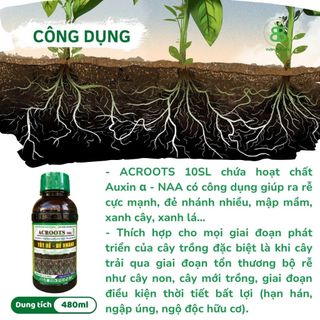 Phân Bón Hữu Cơ , NAA Siêu Ra Rễ, Đẻ Nhánh, Mập Mầm, Xanh Cây Lá ACROOTS 10SL - Chai 480ML