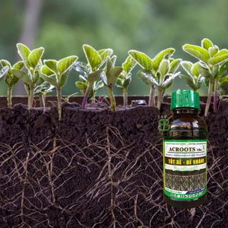 Phân Bón Hữu Cơ , NAA Siêu Ra Rễ, Đẻ Nhánh, Mập Mầm, Xanh Cây Lá ACROOTS 10SL - Chai 480ML