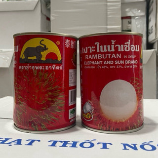 Chôm Chôm Thái Lan Con Voi hộp 565g