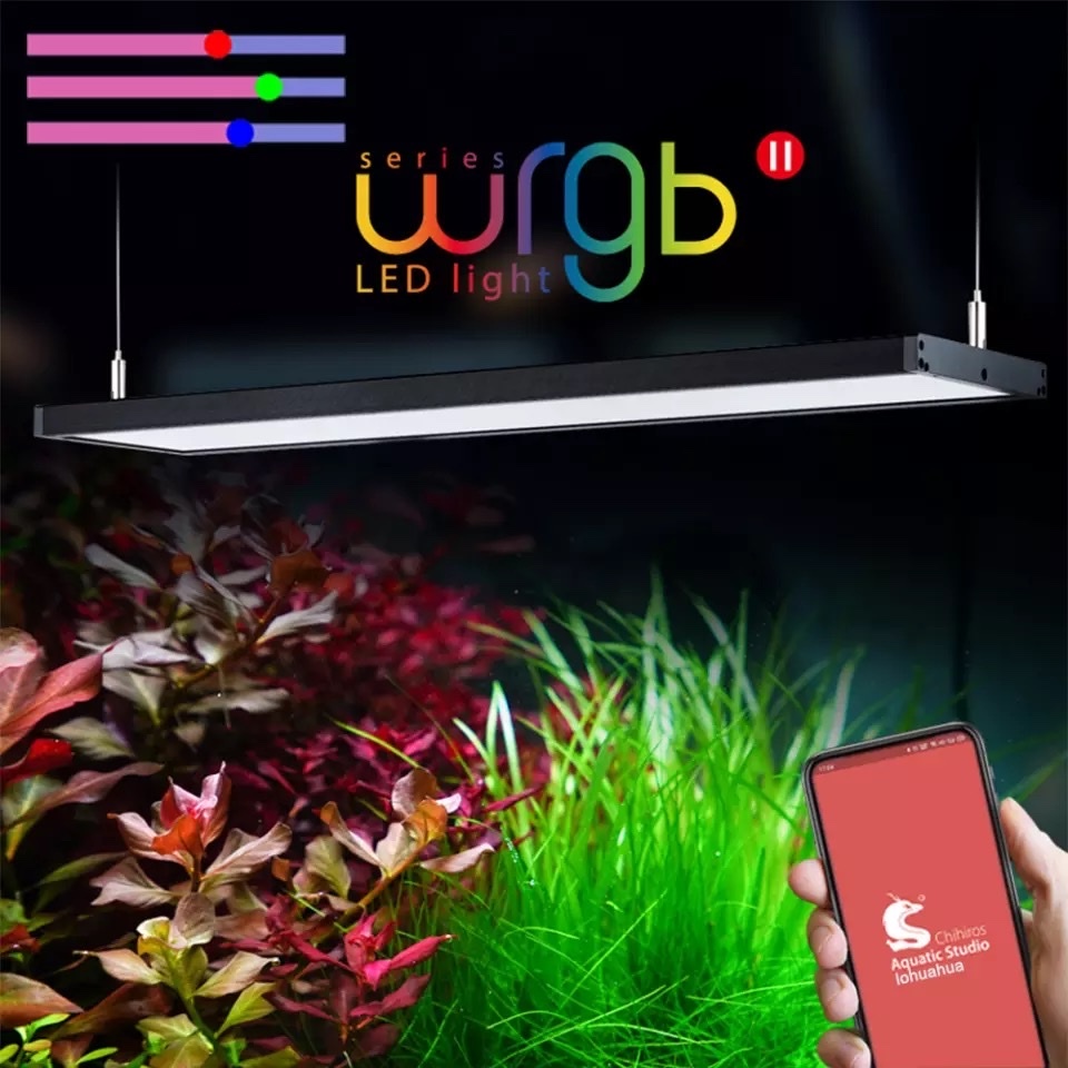 ĐÈN CHIHIROS WRGB2 30CM sử dụng app điện thoại, tùy chỉnh màu theo ý muốn