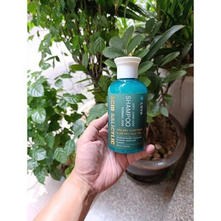  Dầu Gội Giảm Rụng Tóc & Gàu Nấm Ngứa L'eva - Leva Anti Dandruff 450ML 