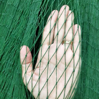 Combo Cuộn 50M Dài Khổ 0.8M, 1.2M, 2M, 1.8M, 2.8M, 3.8M Lưới Rào Gà Vịt Giàn Cây Leo Màu Xanh Rêu