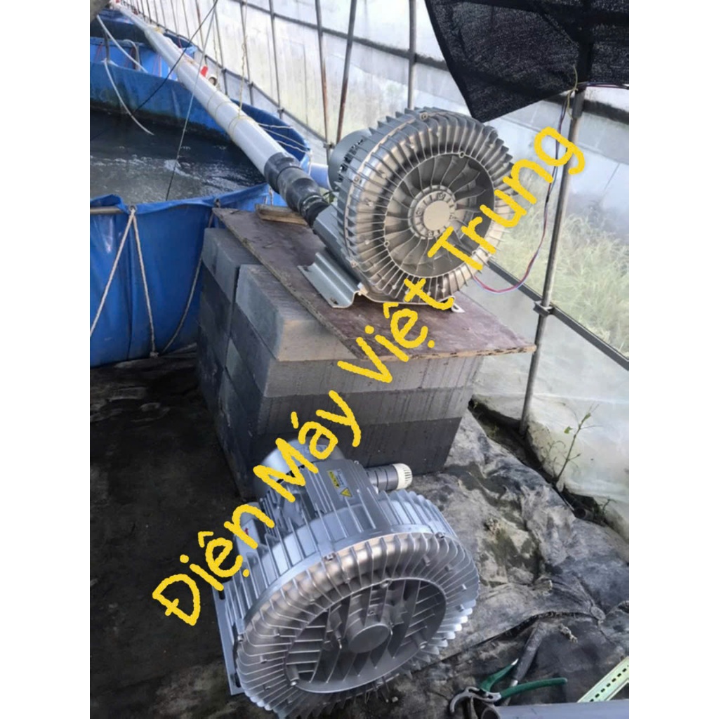 Máy sục khi oxy con sò 750w sục oxy bể nuôi cá,bể kanet,bể xử lí nước thải