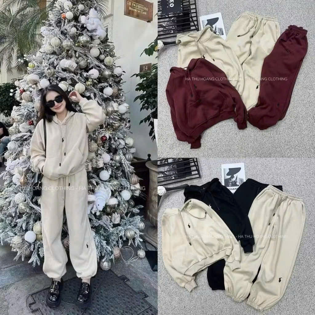 Bộ nỉ nữ có mũ chất vải nỉ bông 2 lớp cao cấp, Set đồ nữ trơn áo hoodie và quần trẻ trung CS045 | BigBuy360 - bigbuy360.vn