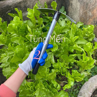 Cuốc thép cán sắt 30cm  cuốc đất làm cỏ siêu sắc