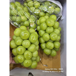 nho sữa hàn quốc[hàng xách tay]