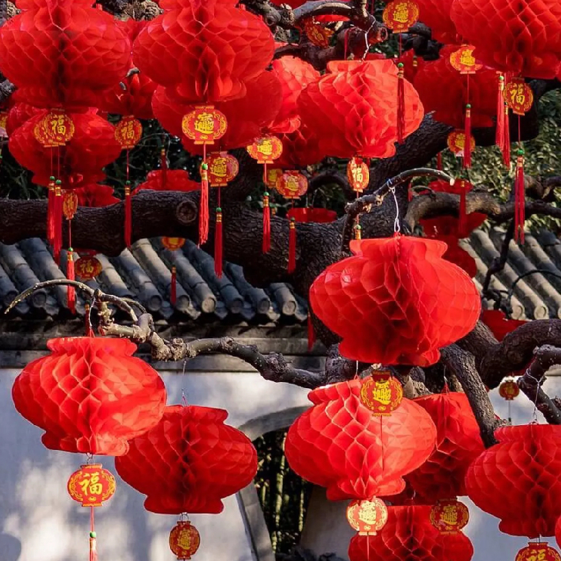 Set 10 Lồng Đèn Trang Trí Sự Kiện, Lễ Hội, Đám Cưới Bằng Nilon Chống Nước Mẫu Đèn Tổ Ong