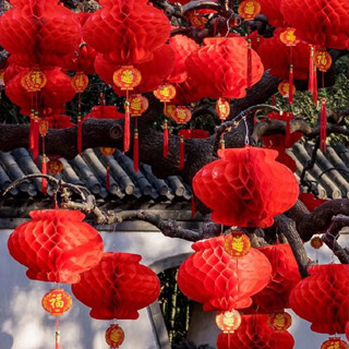 Set 10 Lồng Đèn Trang Trí Sự Kiện, Lễ Hội, Đám Cưới Bằng Nilon Chống Nước Mẫu Đèn Tổ Ong