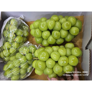 nho sữa hàn quốc[hàng xách tay]