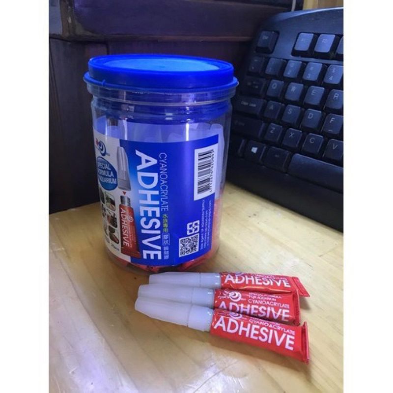 Keo dán cây thủy sinh, chuyên dán rêu, ráy, lũa, đá