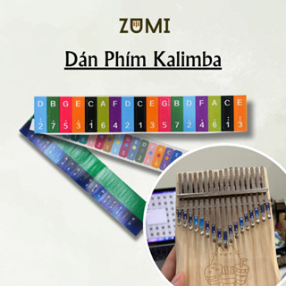 Dán Phím Đàn Kalimba 17 phím 21 phím Sticker Đẹp Mắt nhiều màu Dễ Nhìn Phím tiện dụng có keo dính Zumi Shop