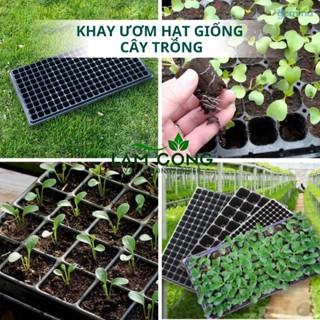  Combo 10 khay ươm hạt giống cây trồng chuyên dụng bằng nhựa PET bền dẻo chắc chắn đủ kích thước 