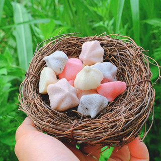 Bánh sữa chua trái cây