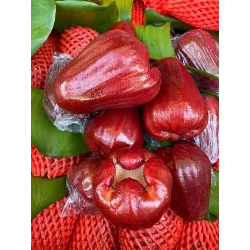 (Hỏa tốc HCM) MẬN ĐỎ AN PHƯỚC - Hàng Nông Sản Việt Nam Chất Lượng