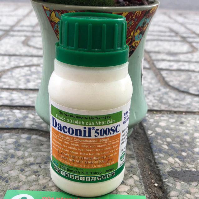 Daconil 500SC/100ml -Chế Phẩm của Nhật trừ Thán Thư ,Phấn Trắng, Đốm Lá