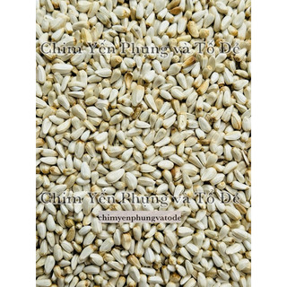 500g hạt kham trắng (Safflower Seed) cho thú cưng.