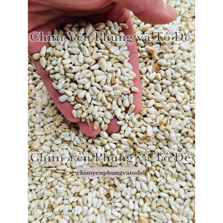 500g hạt kham trắng (Safflower Seed) cho thú cưng.