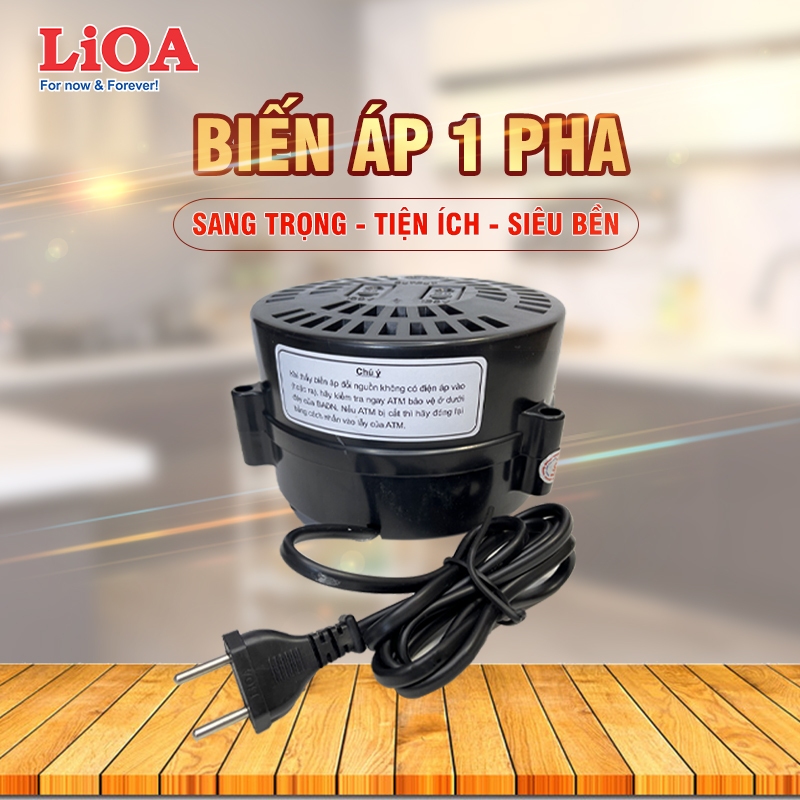 Biến áp 220v ra 100V 120V Lioa,Công Suất DN002, DN004, DN006, DN010, DN015, DN020
