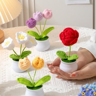  Chậu Hoa Len Handmade Set Quà Tặng Bạn Gái Quà Sinh Nhật  8 3 Trang Trí Bàn Làm Việc - LYLYCRAFT 