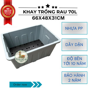 Khay trồng rau 70L/ Khay trồng rau Aquaponics/ Chậu trồng rau 70L_4 mầu Bền - ĐẸP (GIAO HOẢ TỐC)