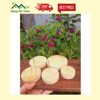 Giá gỗ, đế gỗ cắm thú len, trưng bày sản phẩm len móc, phụ kiện handmade nhiều kích thước