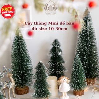  Cây Thông MiNi Phủ Tuyết Có Tán Để Bàn Đủ Kích Thước 10-30cm Trang Trí Noel Chụp Ảnh Decor Giáng Sinh Tiểu Cảnh 