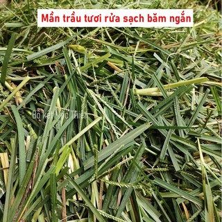 Mần trầu khô thơm đẹp 100g