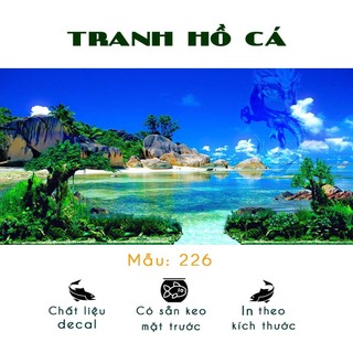 Tranh dán bể cá 3D cho bể 100x40cm - Decal hồ cá có sẵn keo dễ dán - Nhiều mẫu lựa chọn