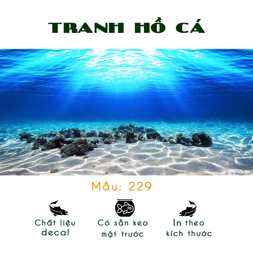 Tranh dán bể cá 3D cho bể 100x40cm - Decal hồ cá có sẵn keo dễ dán - Nhiều mẫu lựa chọn